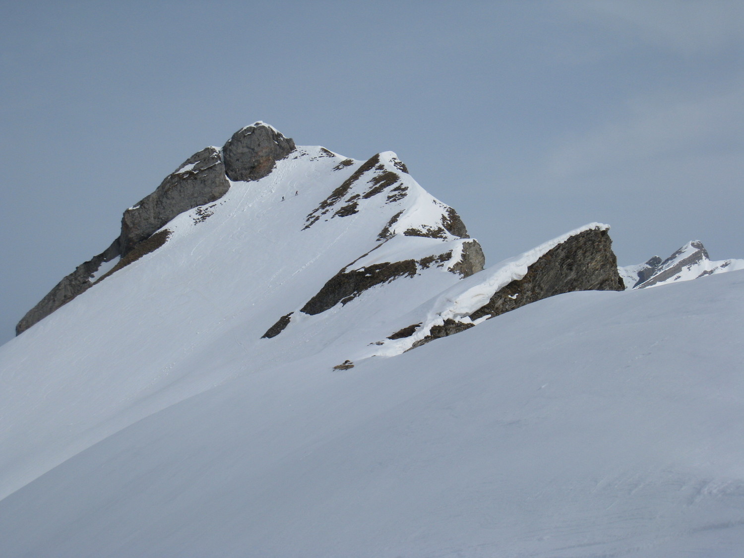 la Goenne - arête S