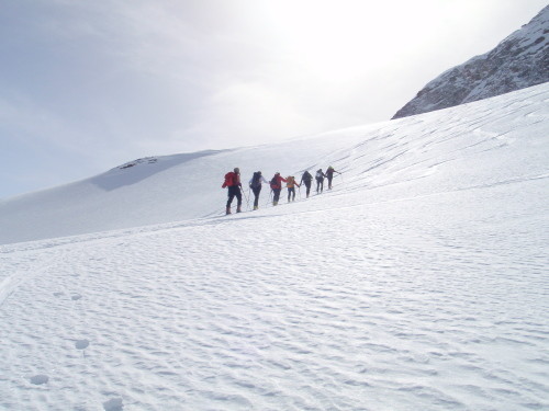 il gruppo