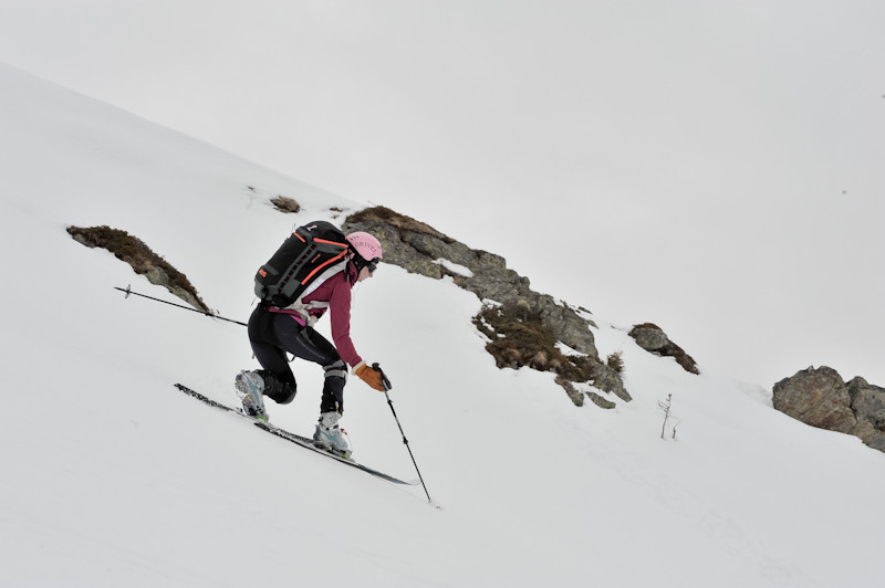 Picador