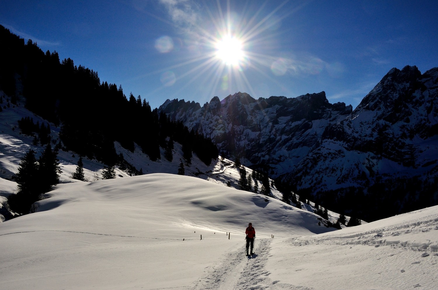 Au dessus de Schwarzwaldalp (Rosenlaui)