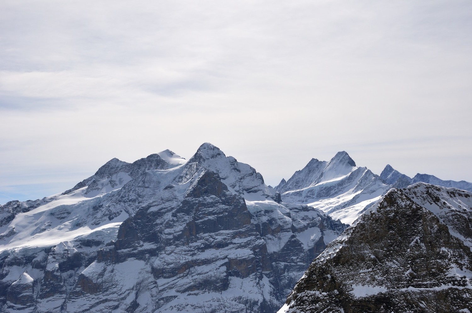 Wetterhorn - Schreckhorn - Finsteraarhorn, vus de la montée au Wildgärst