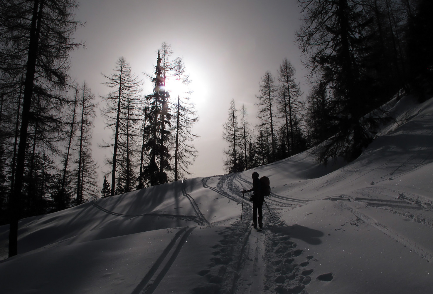 Piz Cancian; controluce al Bosch da Caral...