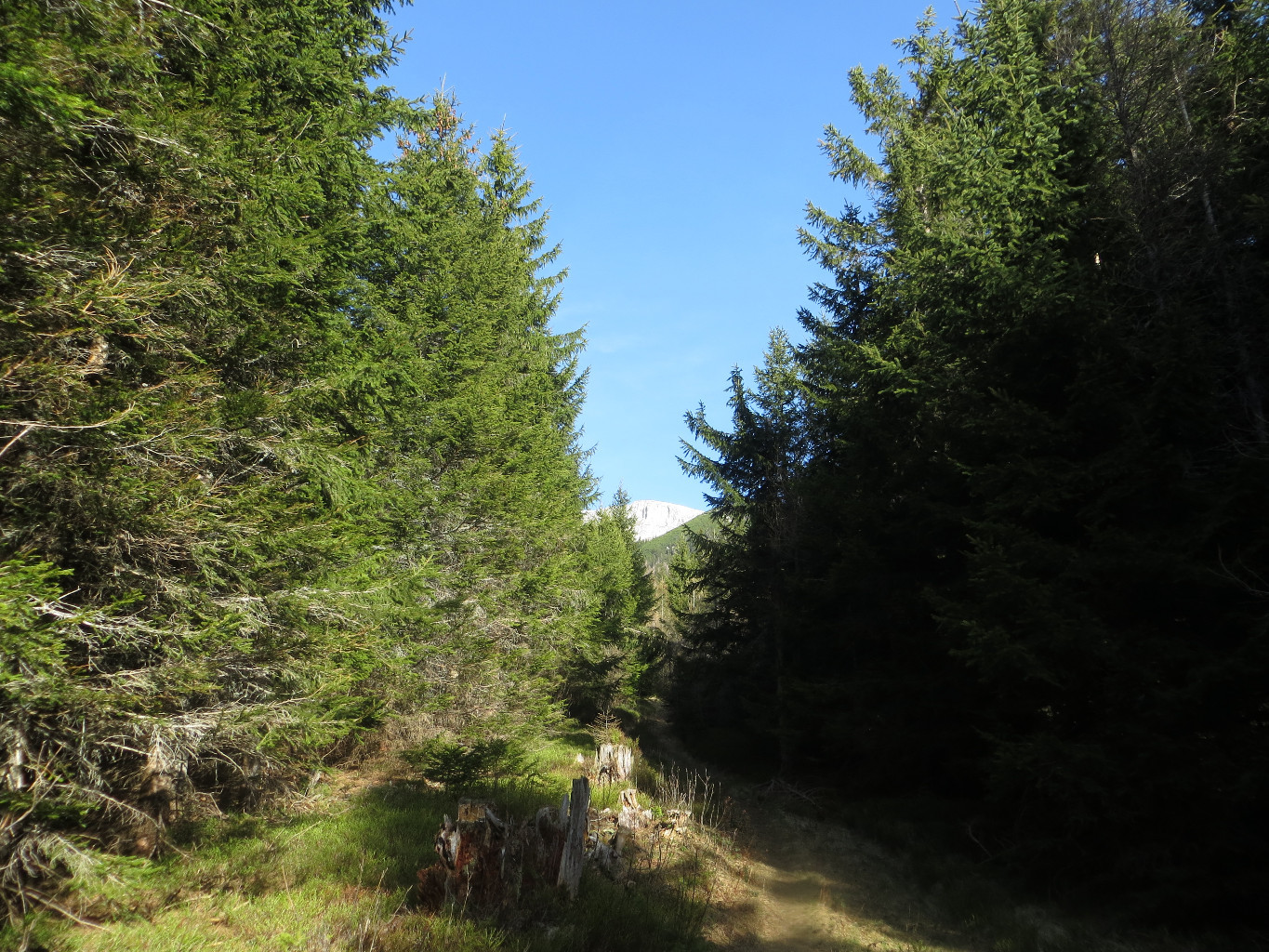 Predigtstuhl, in the background, not much snow down here