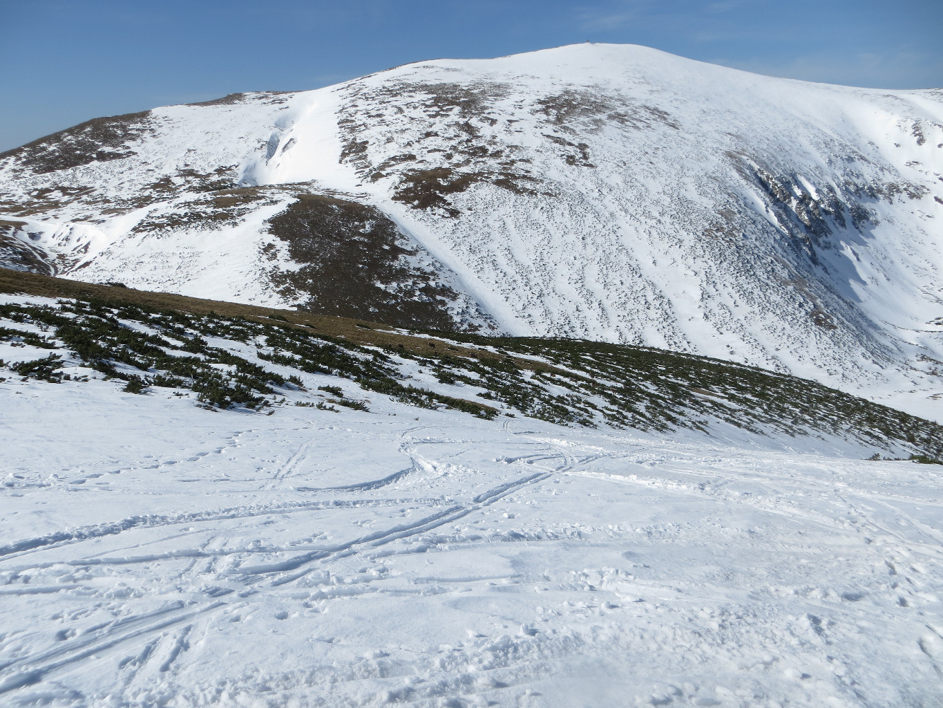 Heukuppe: north side from Predigtstuhl, with some chamois