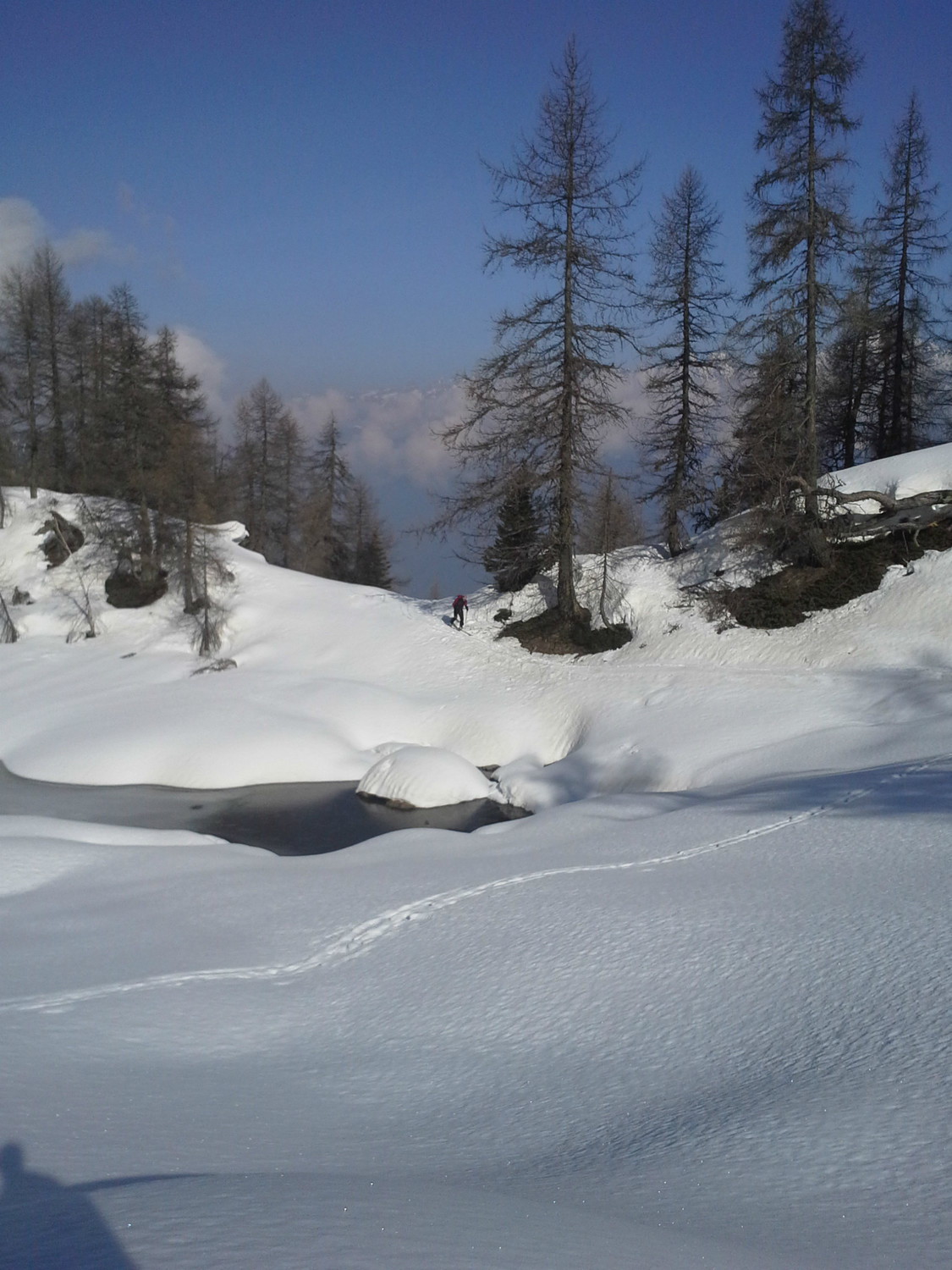 Albino al lago della Casera