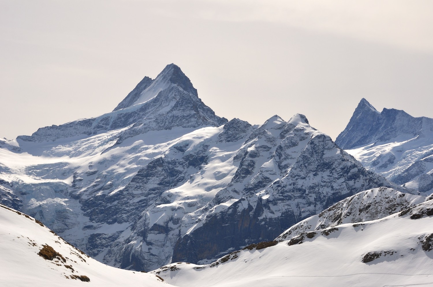 Schreckhorn (4081m, un vieux souvenir...) - Finsteraarhorn (4273m)