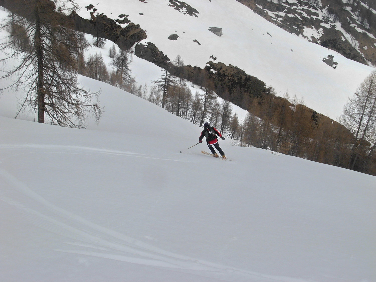 nel lariceto