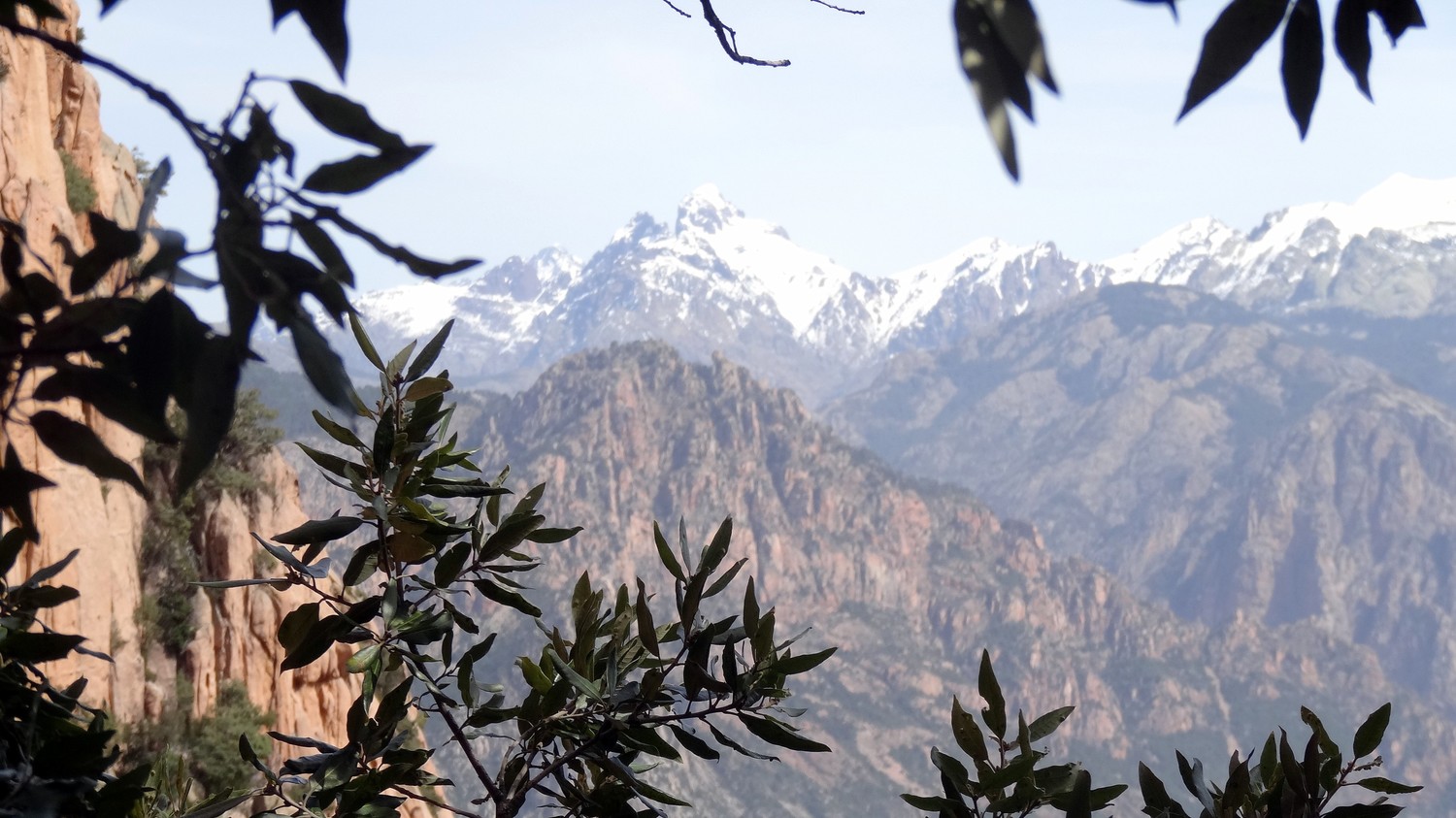 Capu d'Ortu / Fil de l'Epée - Vue sur la Paglia Orba enneigée depuis un relais arboré