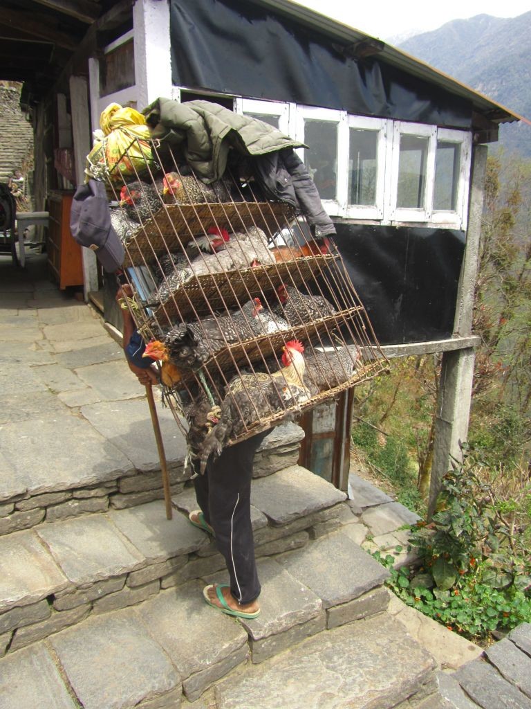 Le repas arrive!