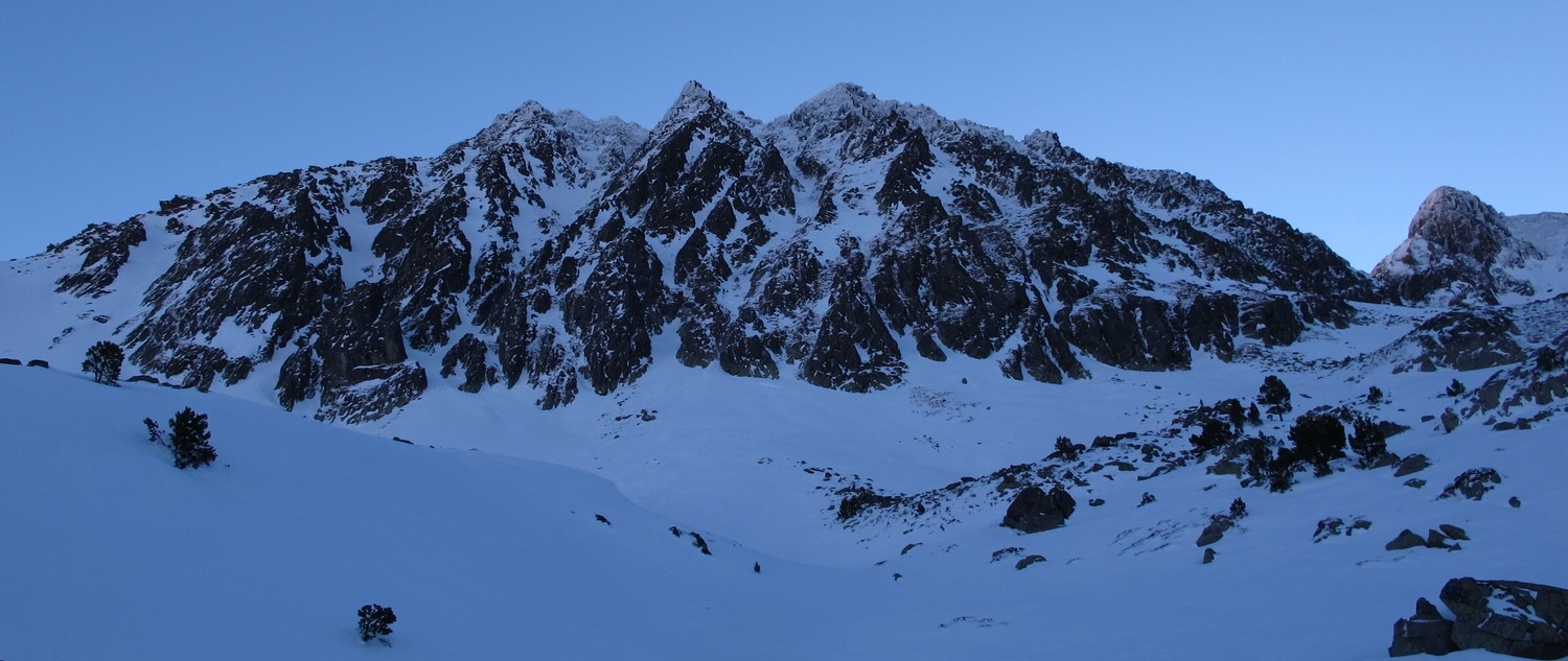 Pedros au matin