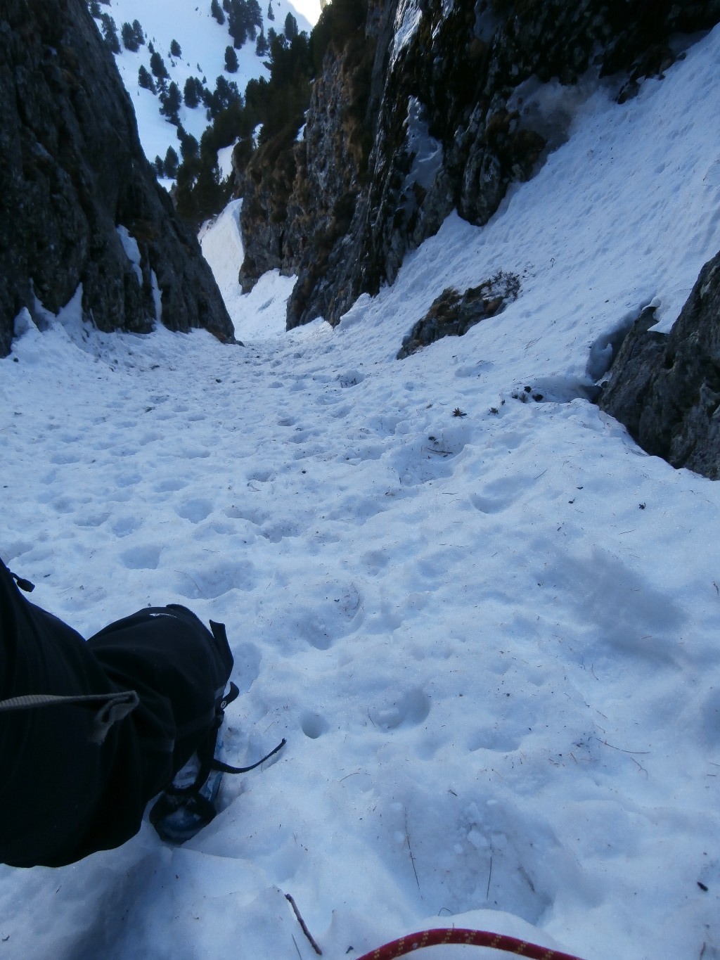 goulotte du chien
