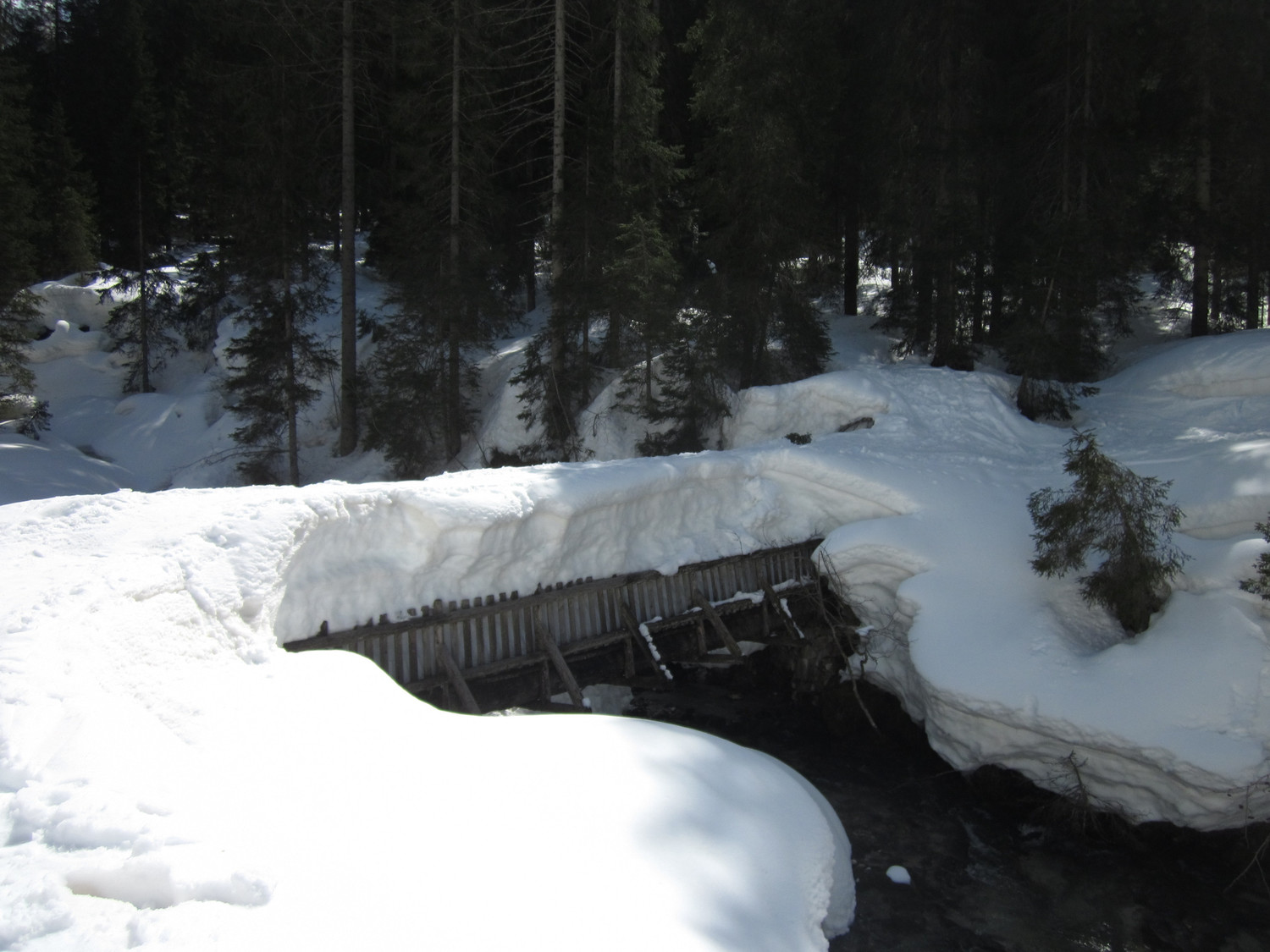 Quanta neve in Vallesinella a 1500 m!!!