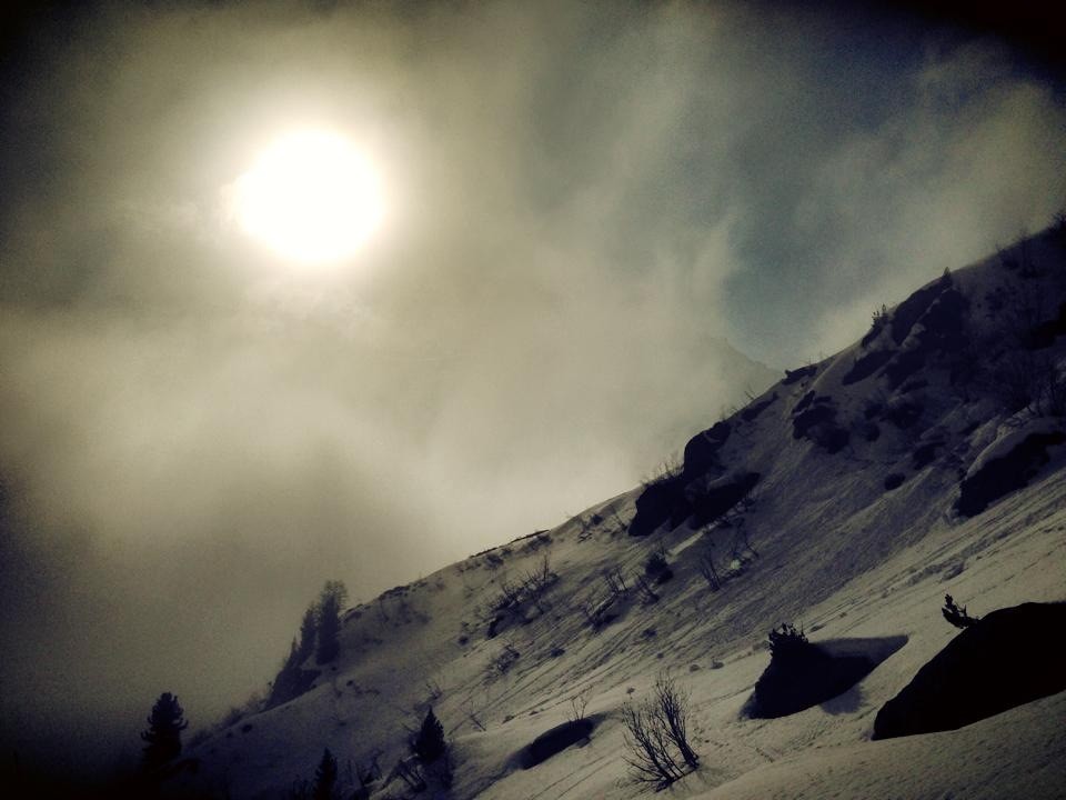 Dans la brume