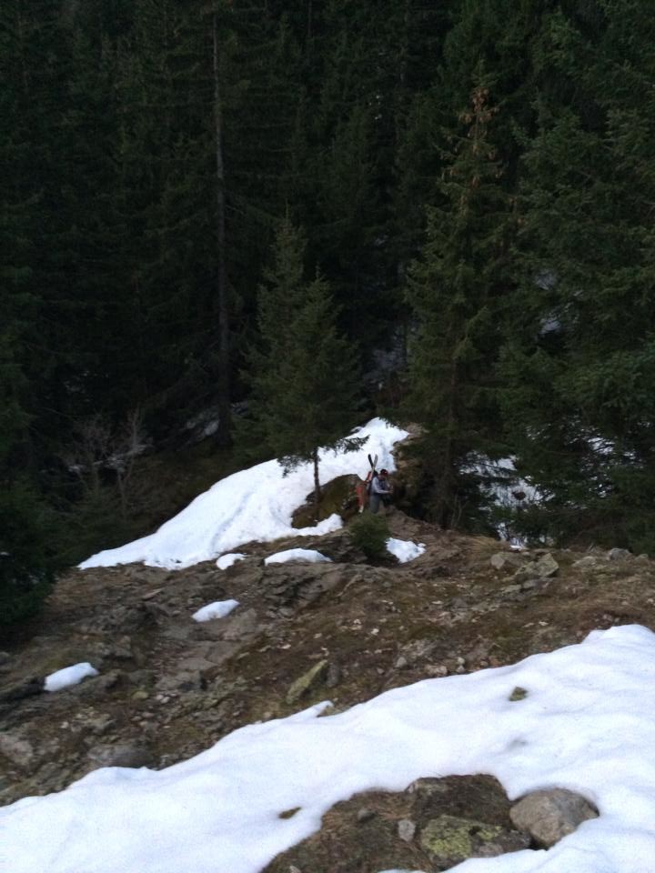 monté dans les bois