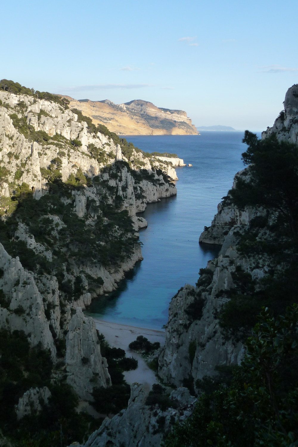 Sublime vue