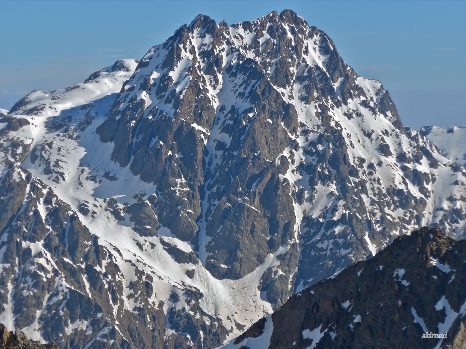 Le majestueux Matto.