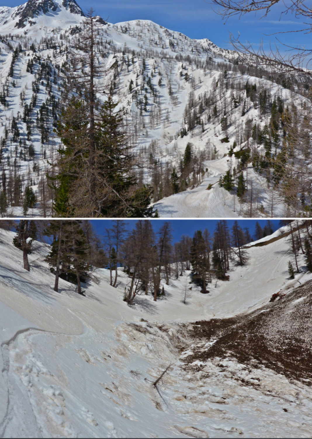 Au dessus du Col de Salèse vue sur Piagu et descente moquette à poils un peu long.