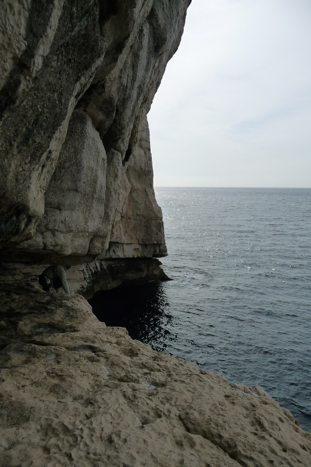 Oliv sous le toit