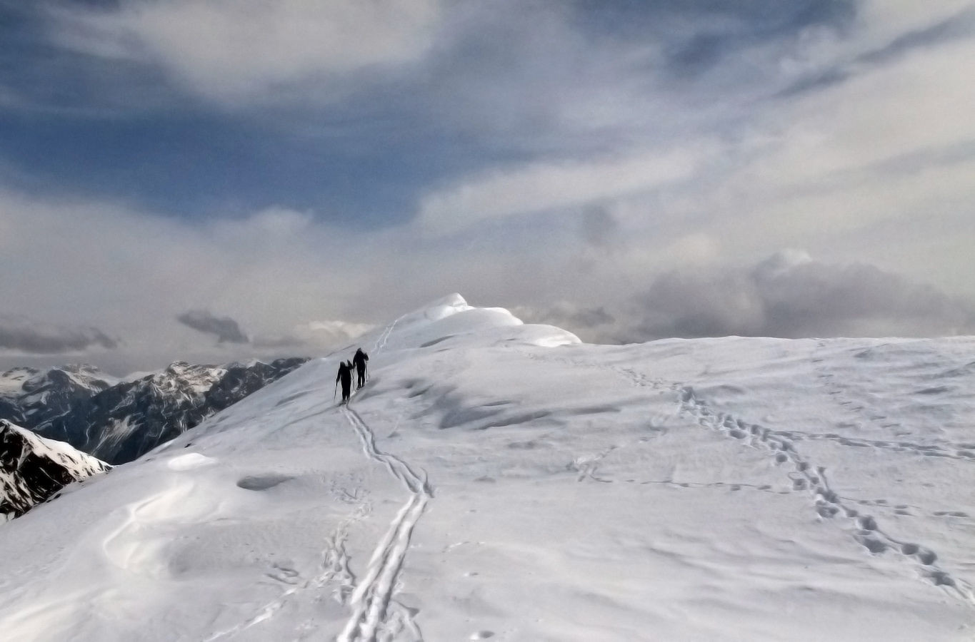 Pizzo Coppetto; sulla spalla E della vetta...