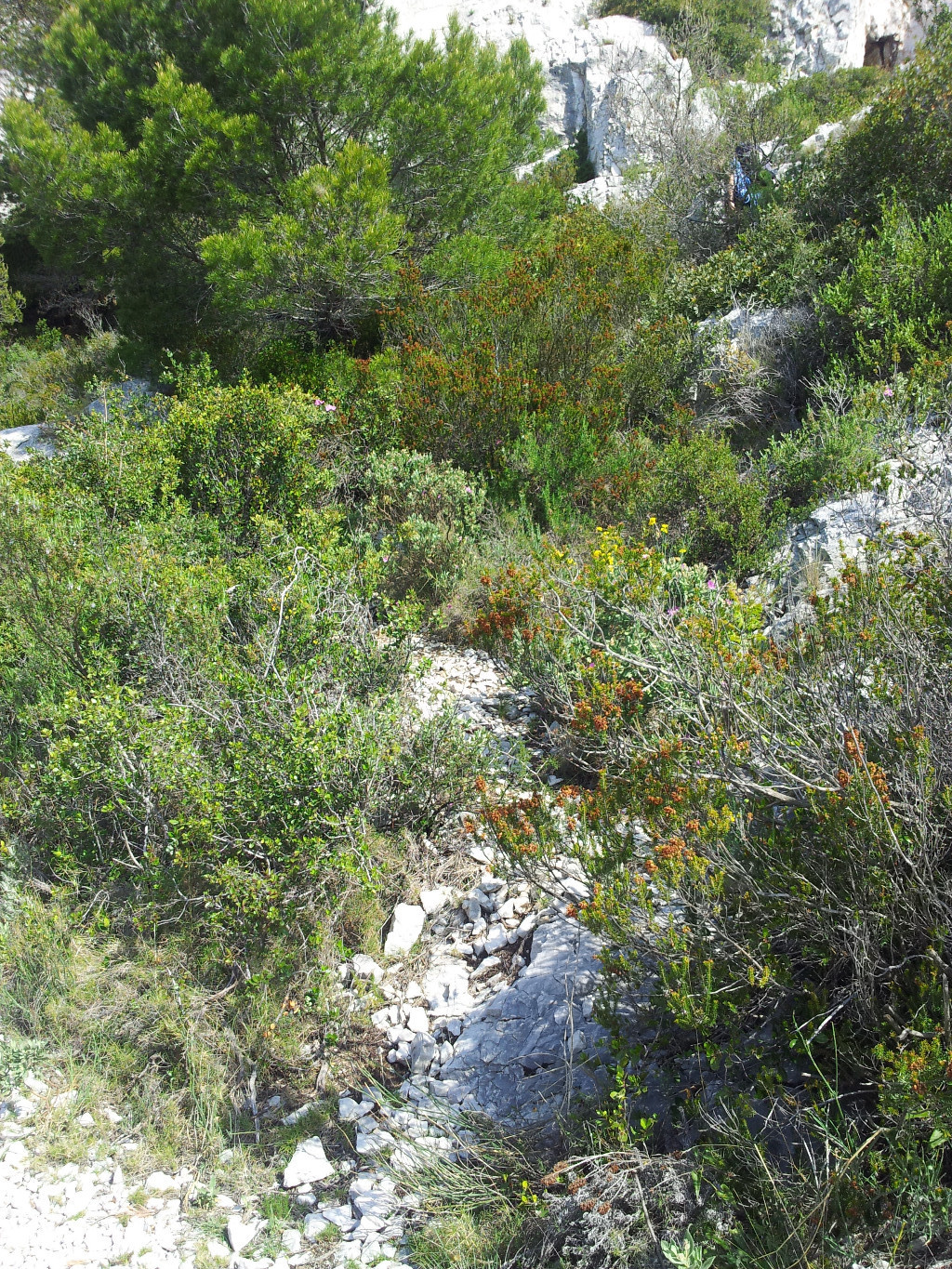 Sente du départ