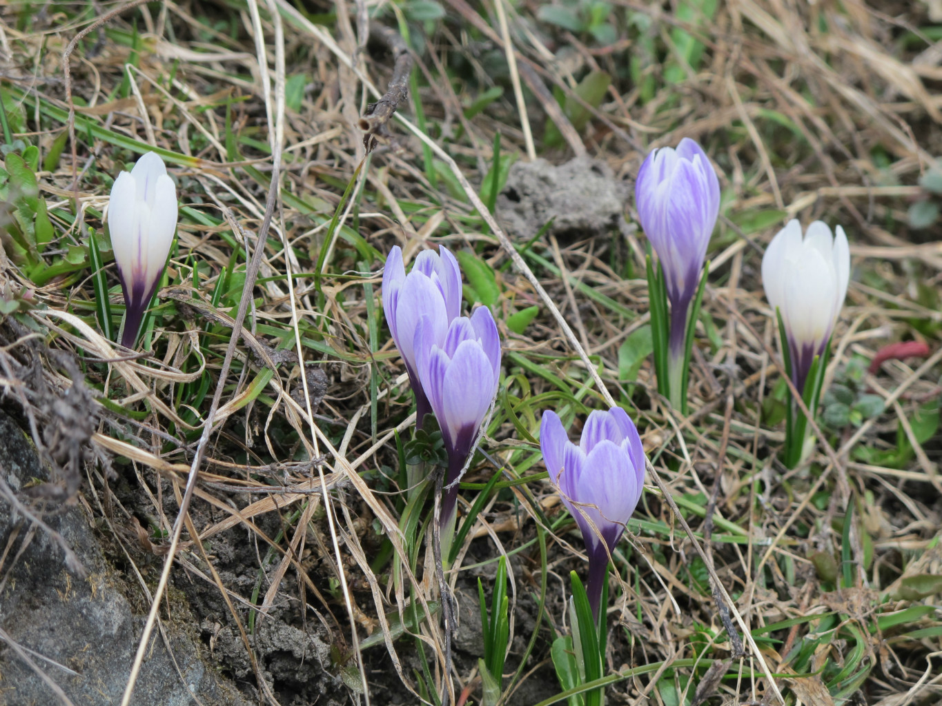 le printemps arrive...