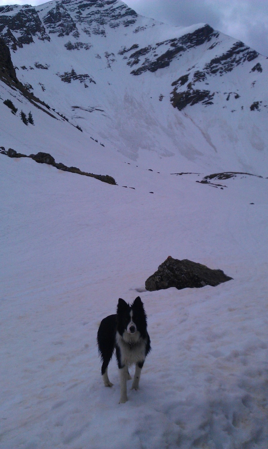 Encore de la neige