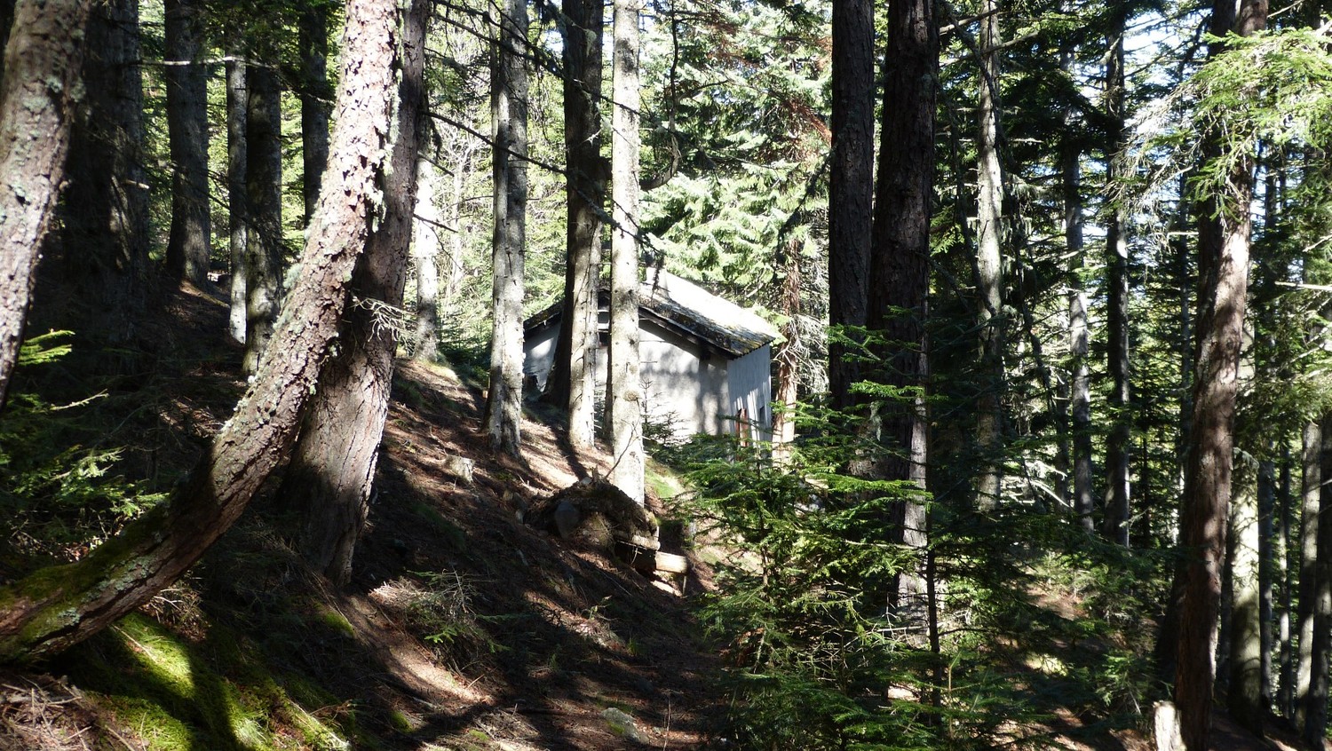 Maison forestière de Founguère