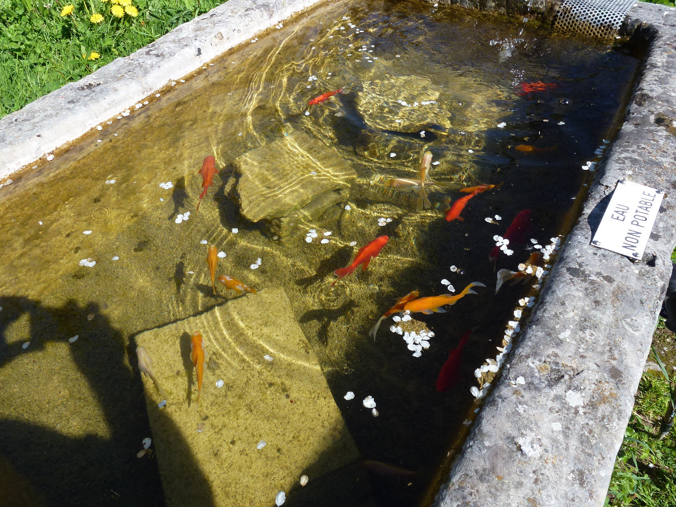Franchement, ils auraient pu mettre des homards. On va pas aller loin avec çà.