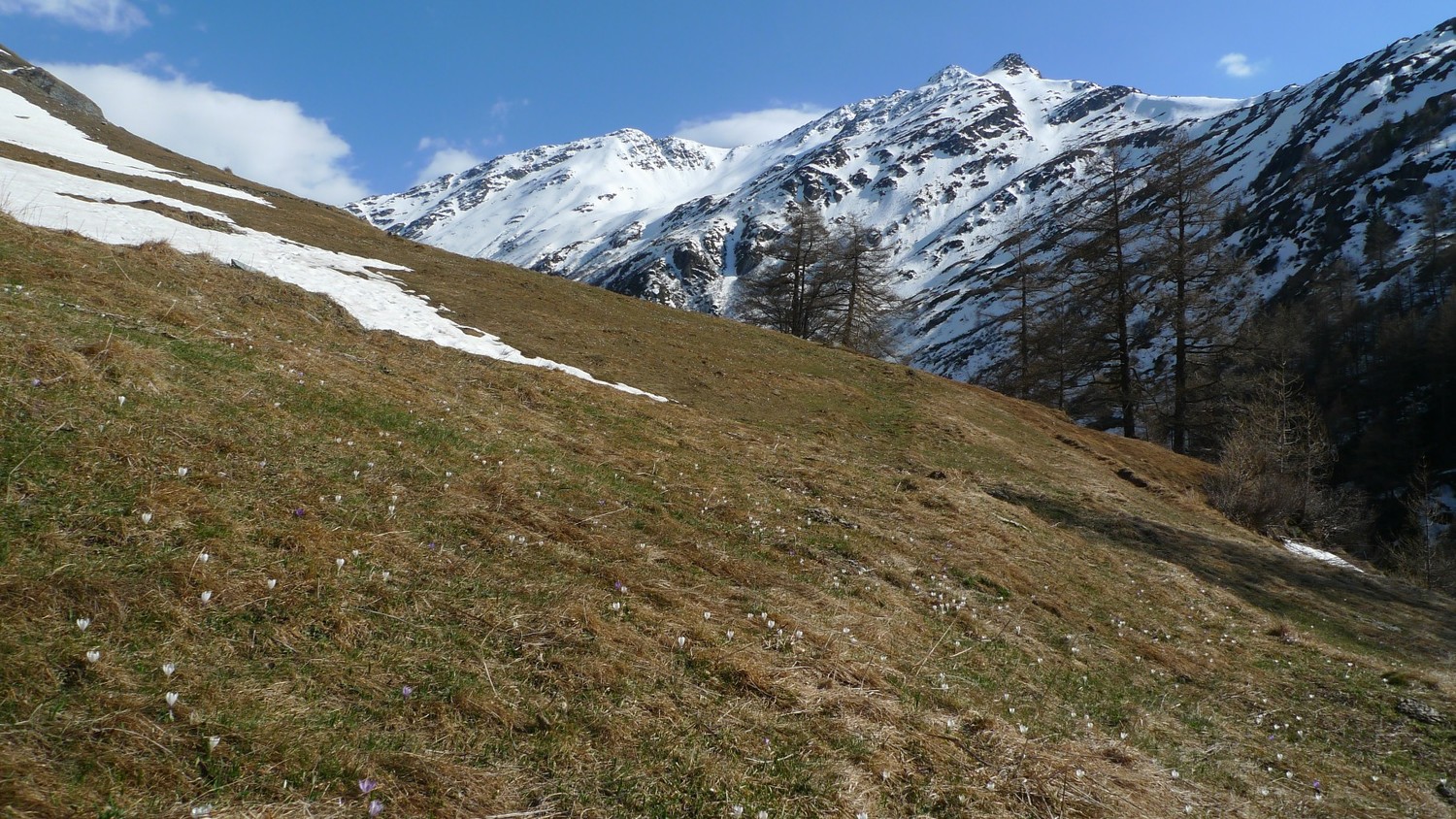 A mezz'ora di cammino da Bourg St. Pierre