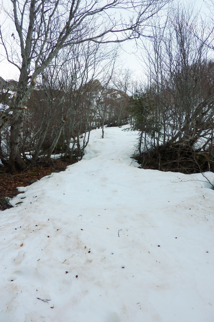 Soques: chaussage à 1600m