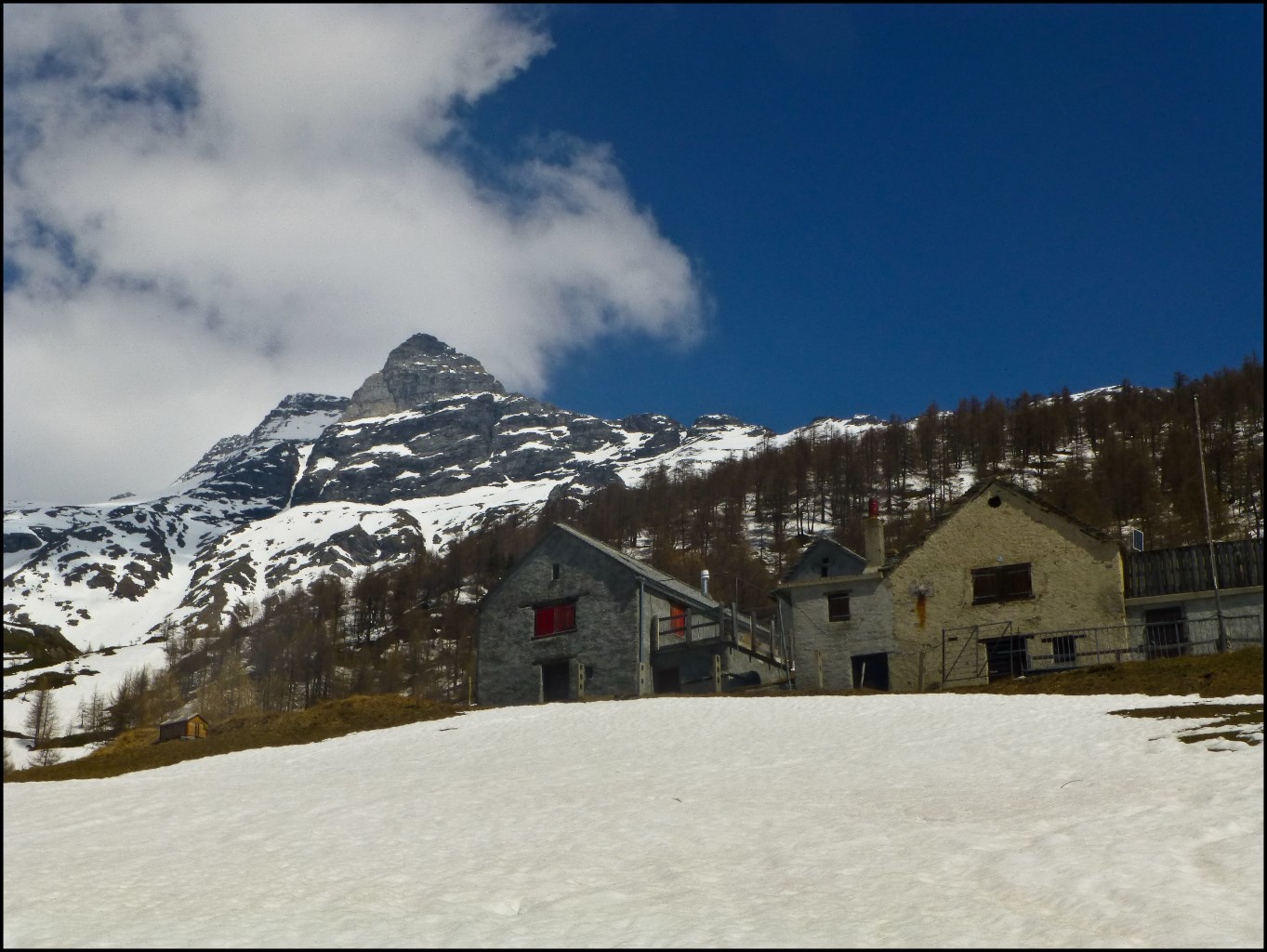 Alpe Homatta