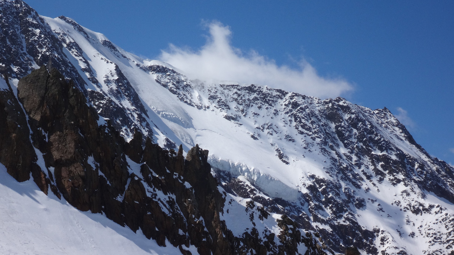 weissmies