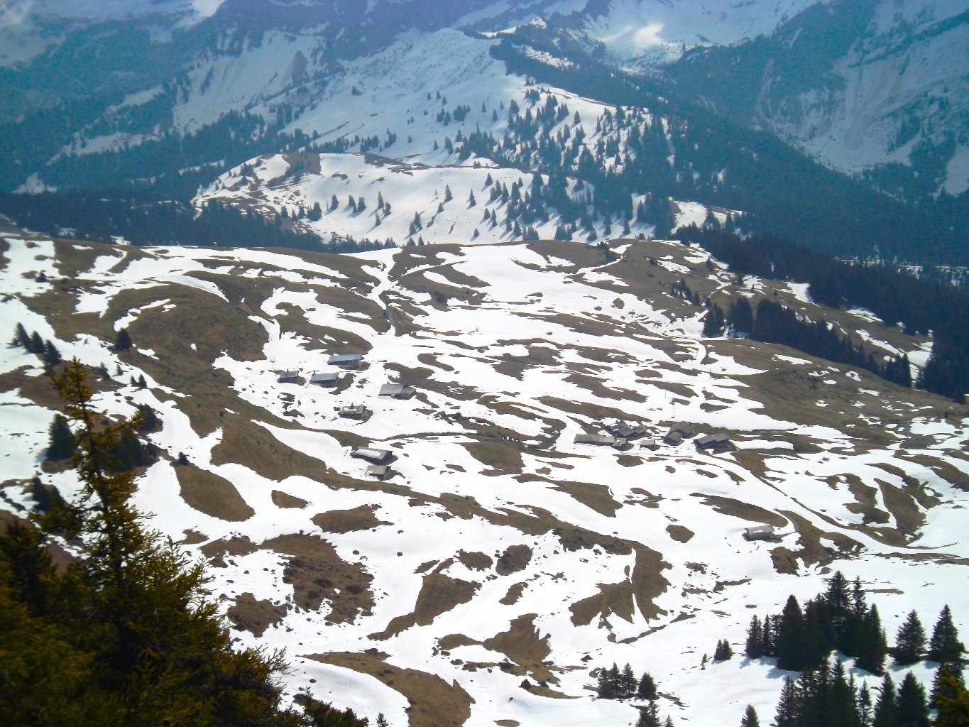 Vue sur l'alpage d'Ensex