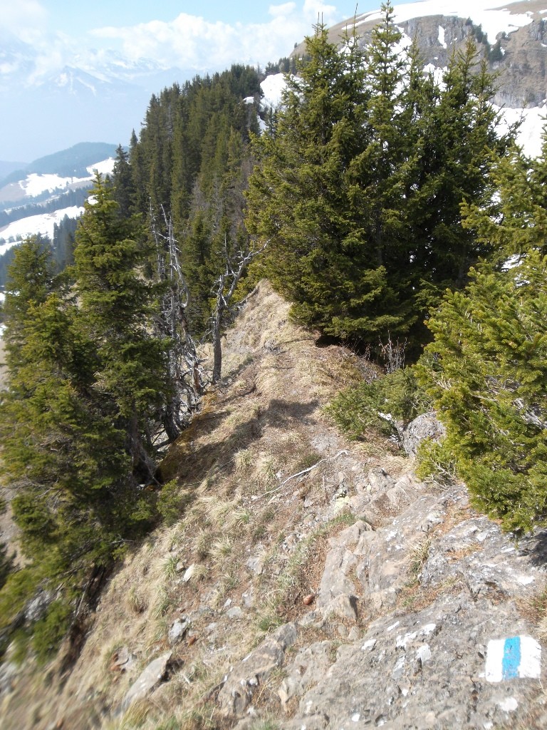 Sentier de crête