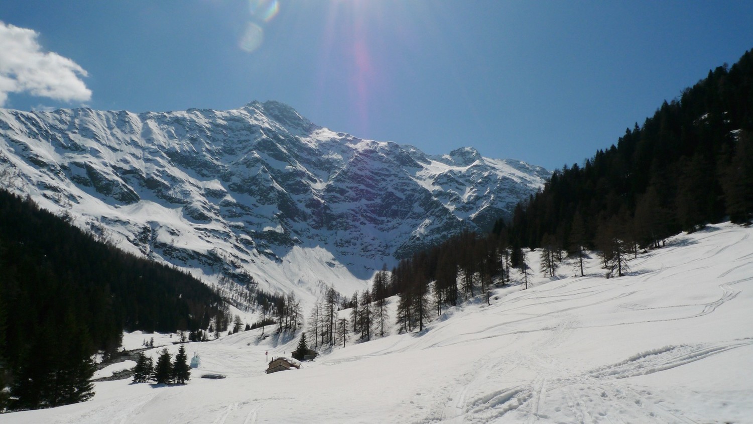 Il Pizzo Forno dall'Alpe Piumoga