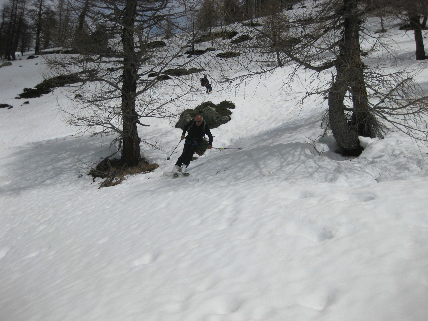 ultimo tratto nel bosco, la neve tiene ancora...