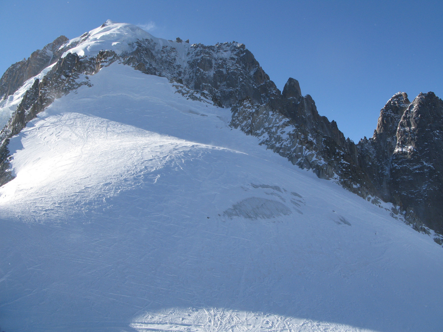 Petite Verte Face N