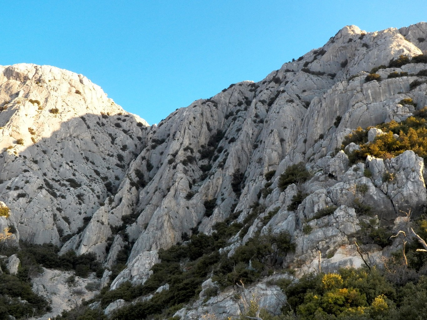Vue sur la voie