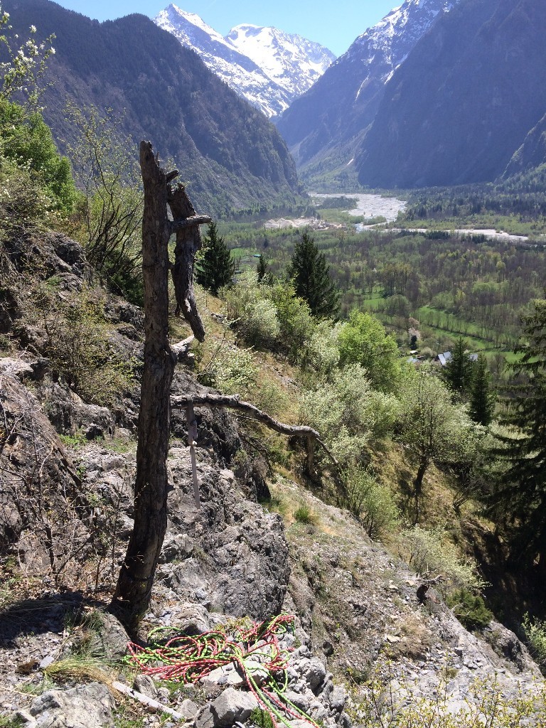 Arbre mort servant (ou servait) de relais