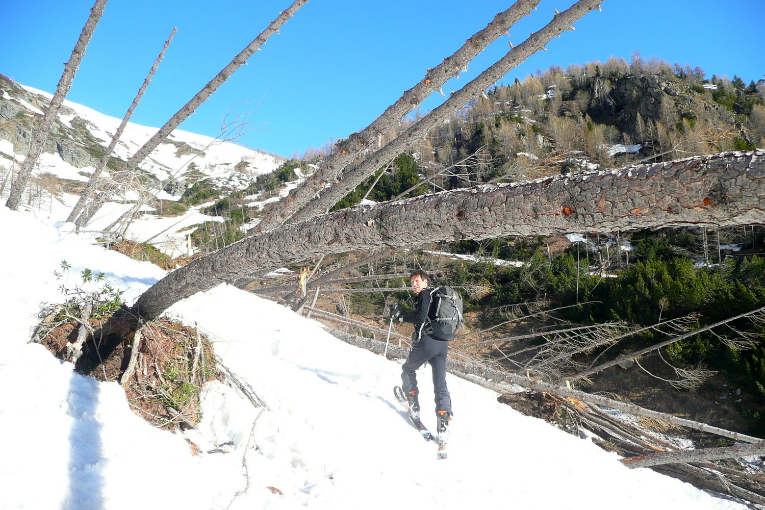 i segni dell'inverno nevoso
