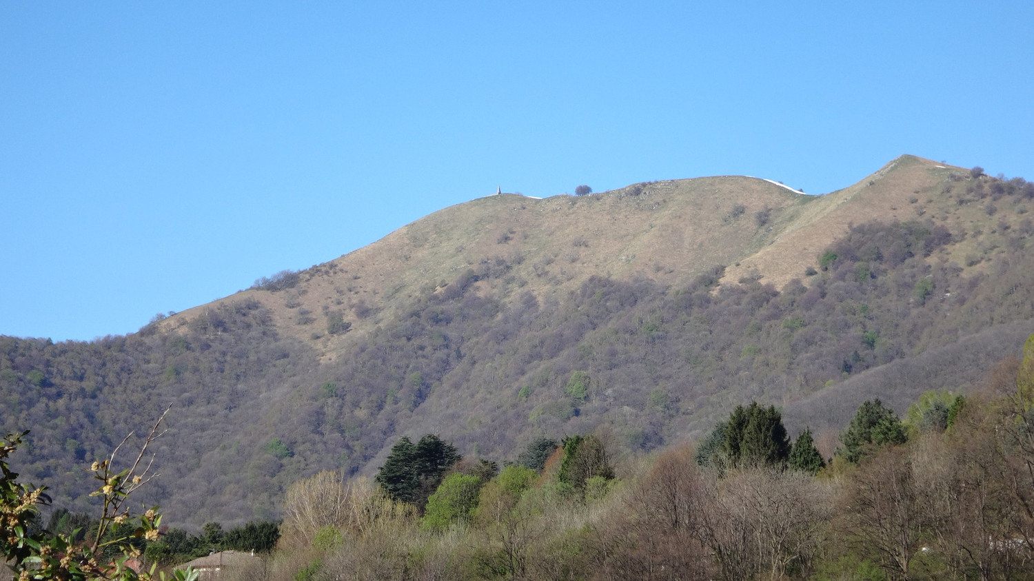 Palanzone