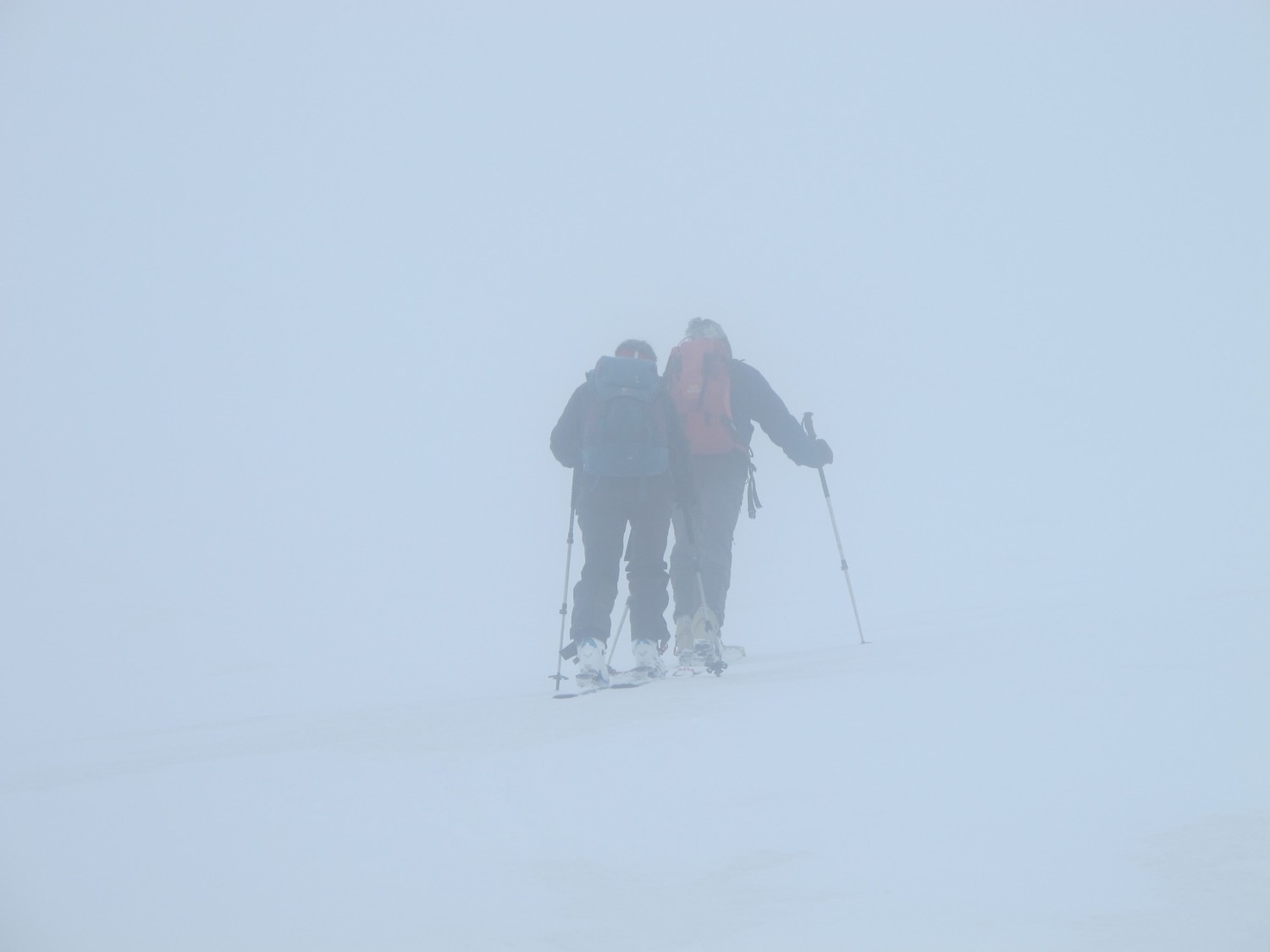 On voyage ds le brouillard