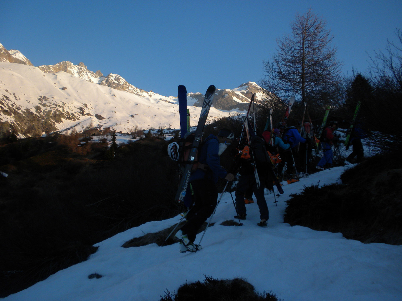 On arrive bientôt en haut... de la forêt seulement!