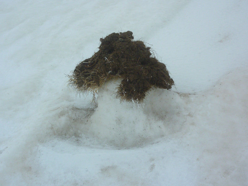 Champignon au dessus du Lac du Crozet