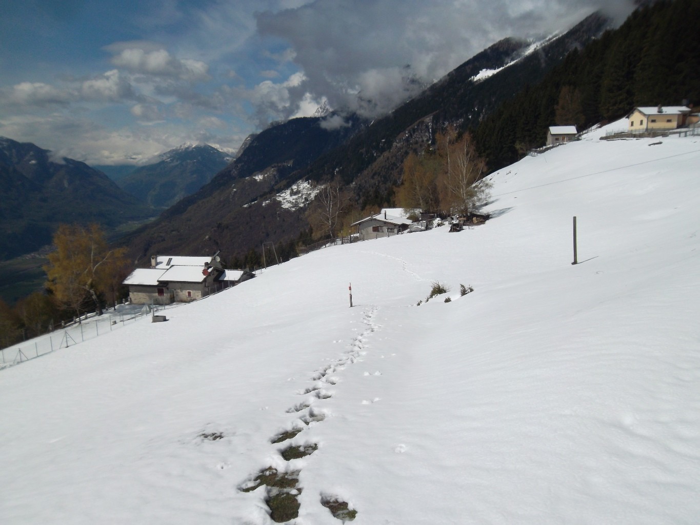 Parusciana