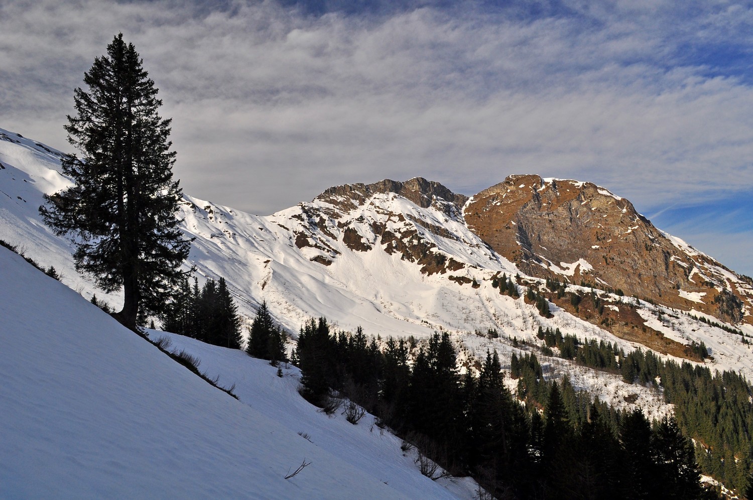 pic à talon
