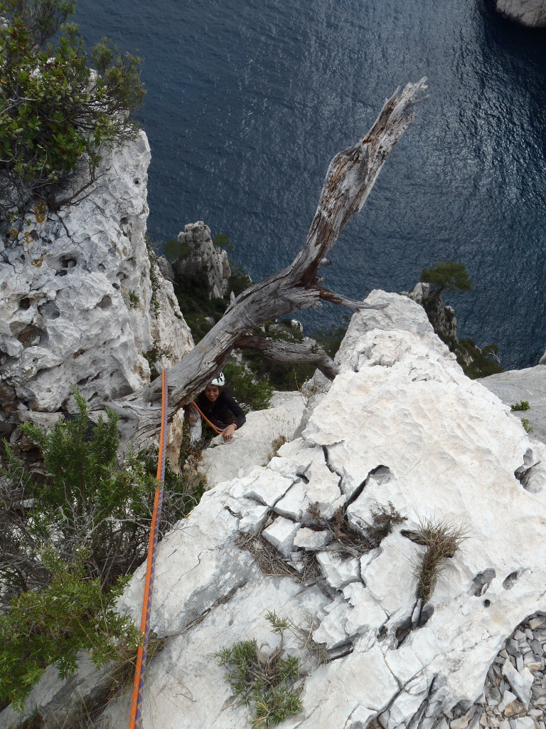 L'arbre mort à la fin de la voie