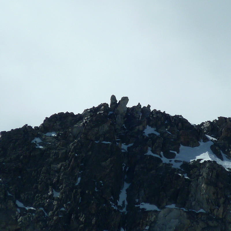 Oreilles sur l'arête près du Col de la Mariande