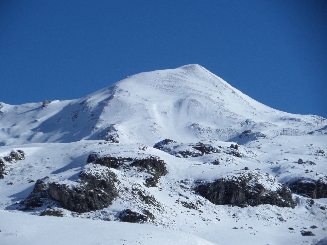 Bella Tola