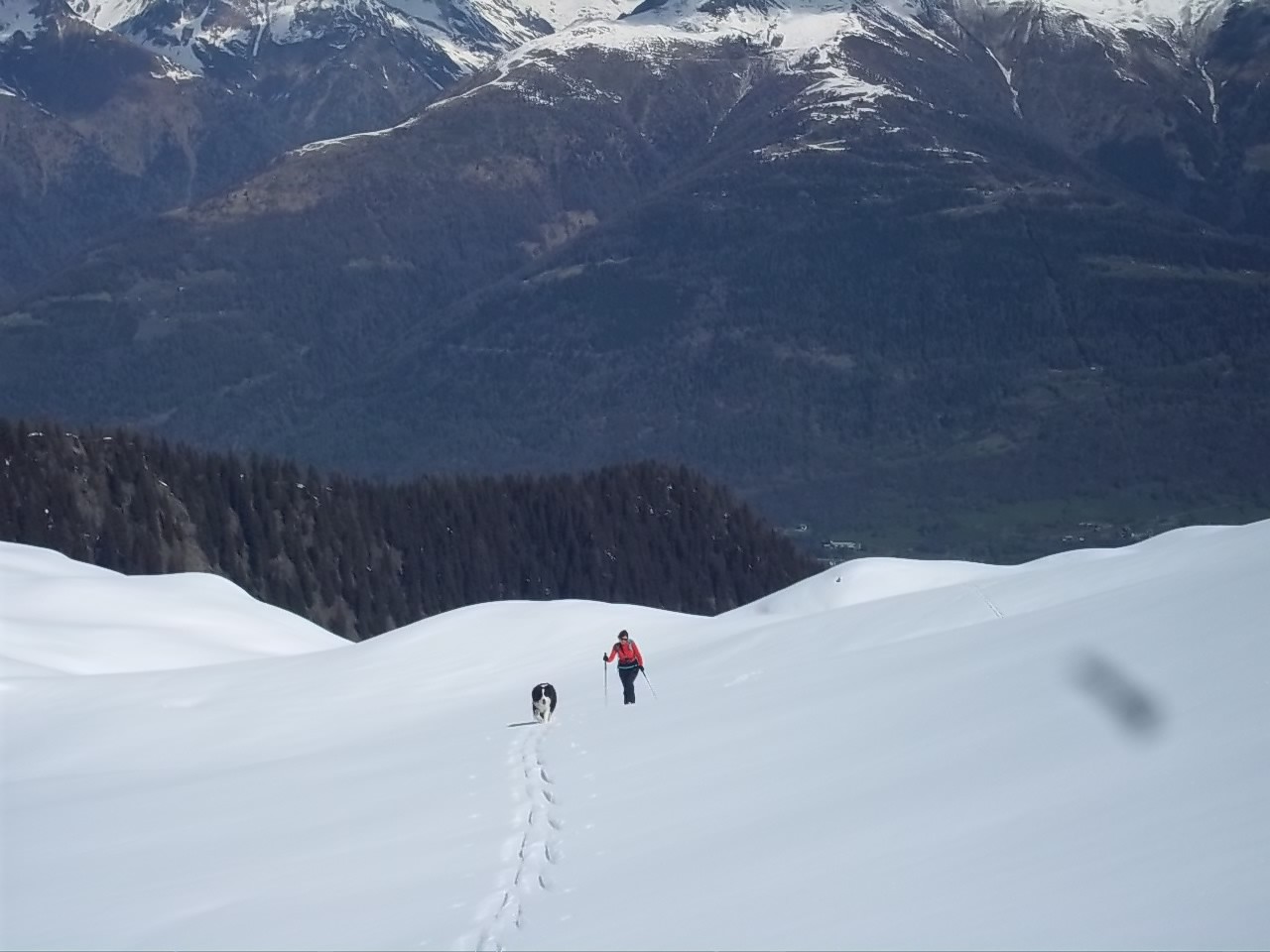 la piana